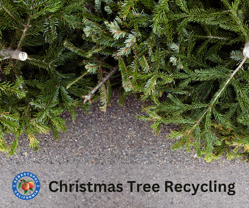 Christmas Tree Recycling